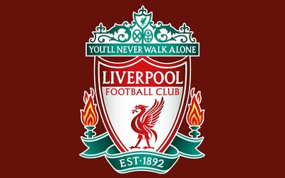 球探体育-冰球明星麦克戴维德养伤期间打电竞